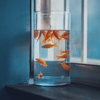 Ảnh đại diện Hoàng Đức Minh